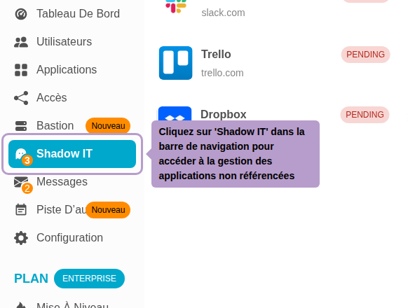 Cliquez sur 'Shadow IT' dans la barre de navigation pour accéder à la gestion des applications non référencées