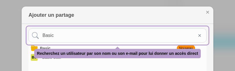 Recherchez un utilisateur par son nom ou son e-mail pour lui donner un accès direct