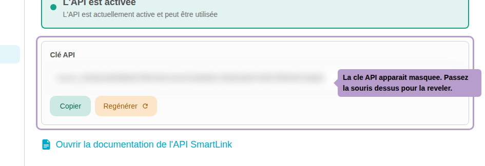 The API key is initially hidden. Hover over it to reveal.